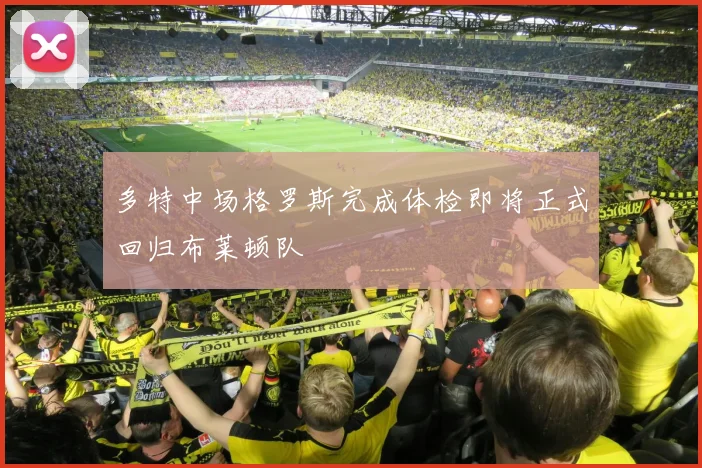 多特中场格罗斯完成体检即将正式回归布莱顿队