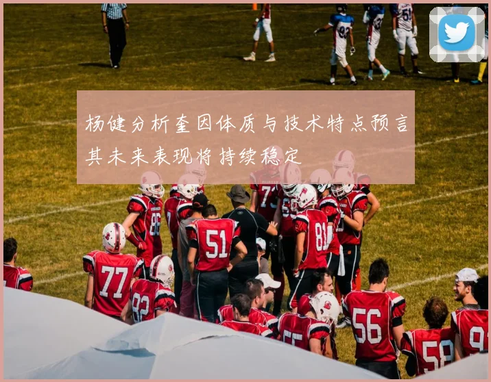 杨健分析奎因体质与技术特点预言其未来表现将持续稳定